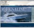 Bertram Yachts